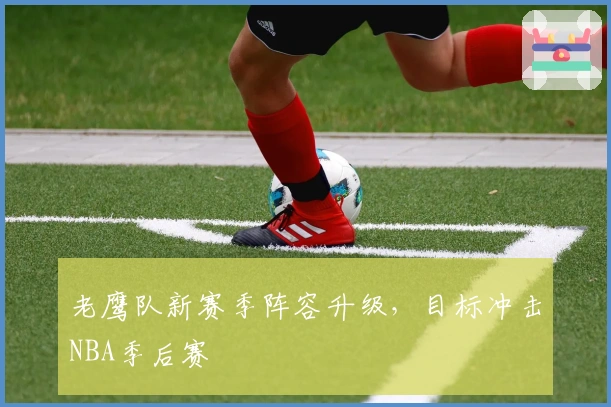 老鹰队新赛季阵容升级，目标冲击NBA季后赛